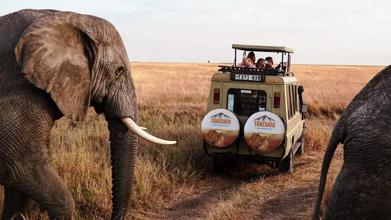 5 Days Ngorongoro and Tarangire Safari